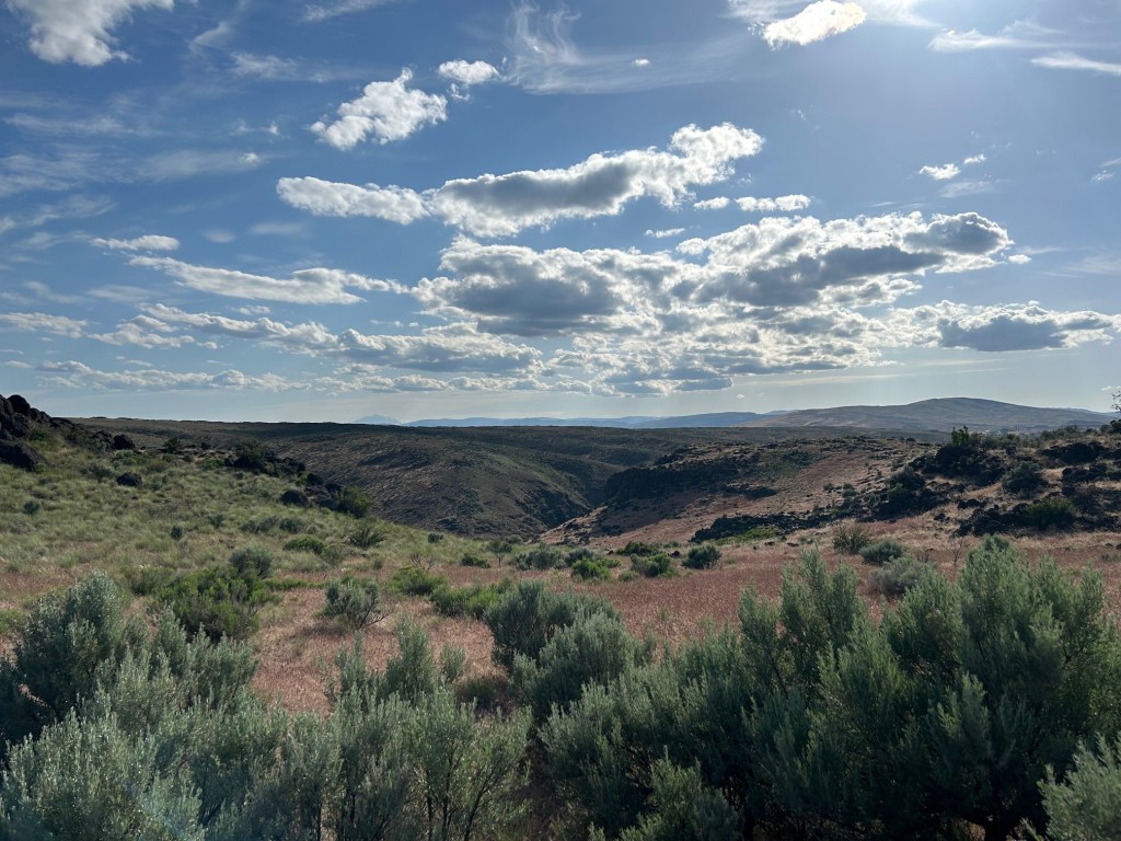 I Won a&nbsp;Fellowship