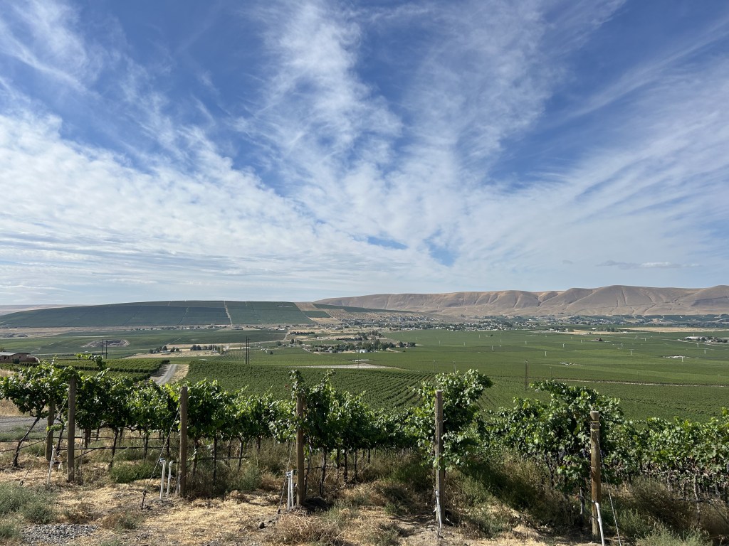 A Day on Red&nbsp;Mountain