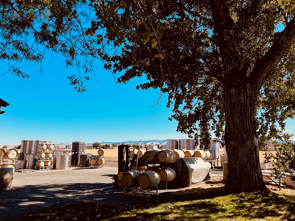 Falla Walla: Leaning Into the Mystery of Wine, and a New&nbsp;Season