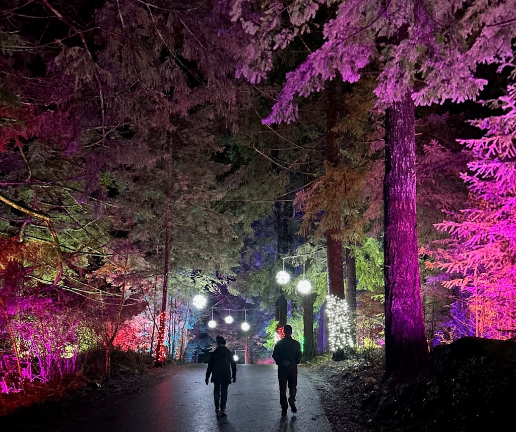 Reverse Engineer’d Resolutions