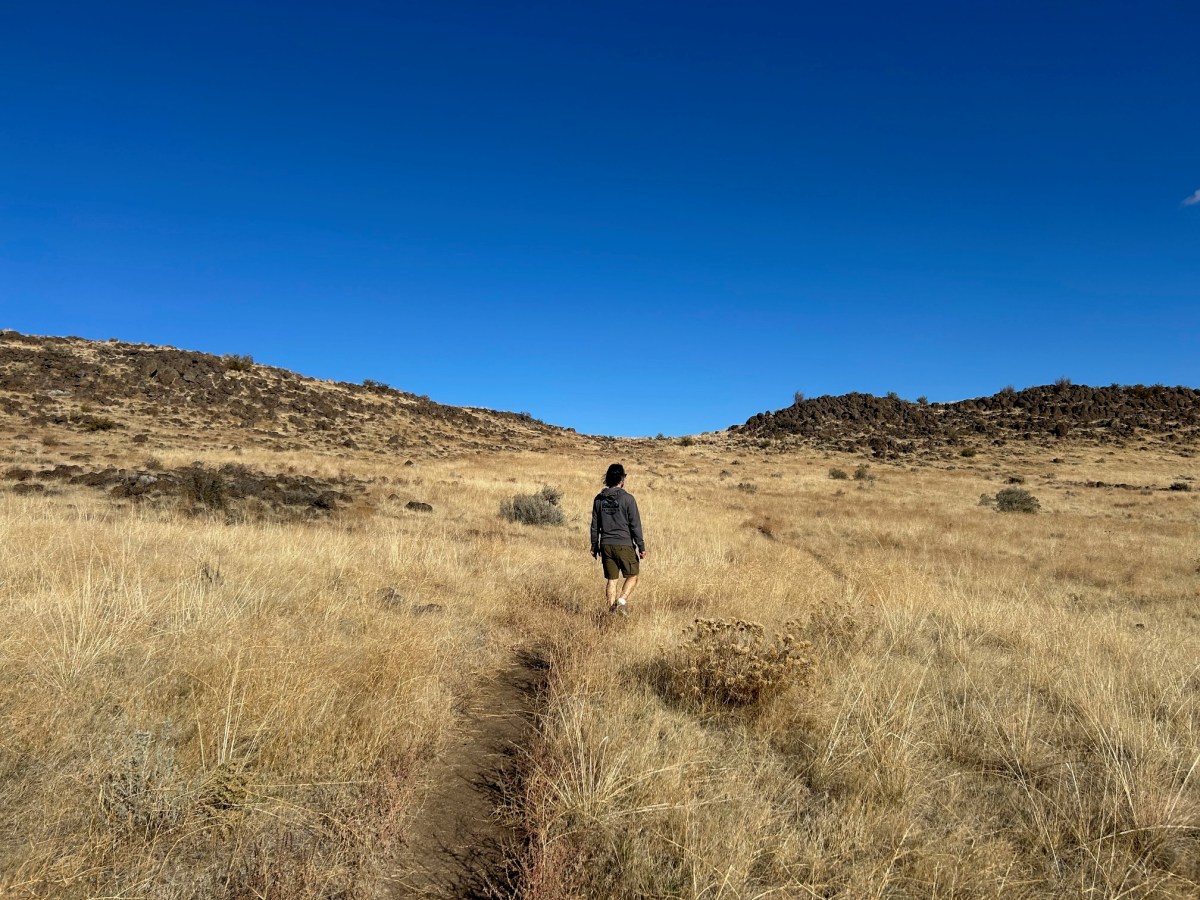 Numbers or Words: What’s the Best Way to Review&nbsp;Wine?